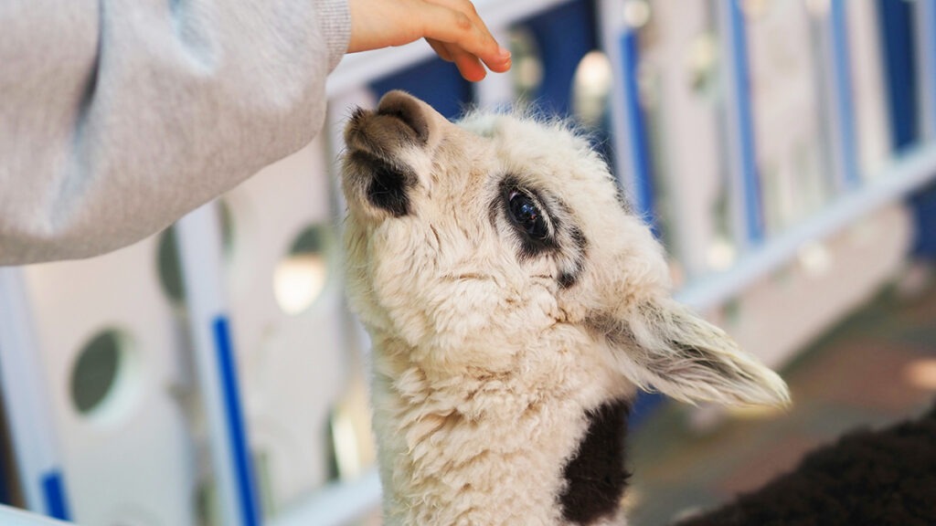 Photo by Jackie Park on Unsplash