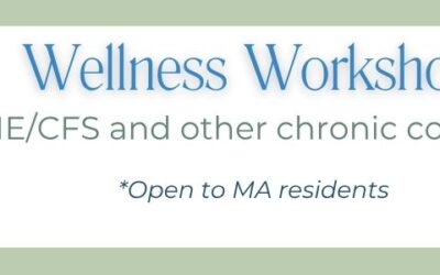 Wellness Workshop – Home Page Slider (1)