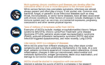 IACCI Primer